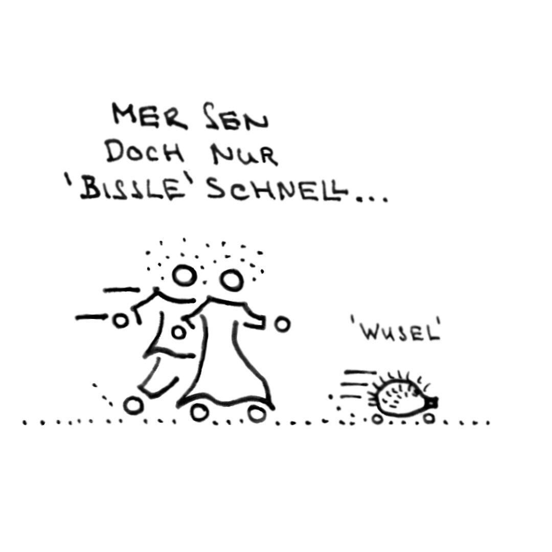 erna-und-ernst-cartoon-schwaebisch-waldlauf-04